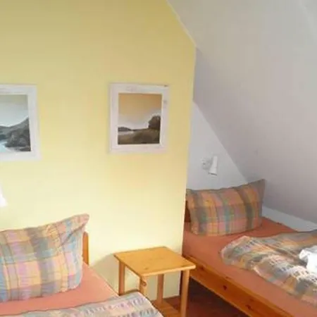 Inselspecht Og Comfortable
