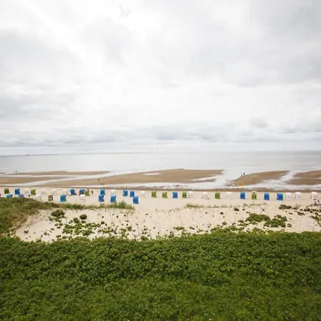 Inselspecht Og Comfortable